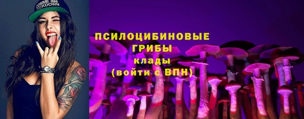 трава Алзамай