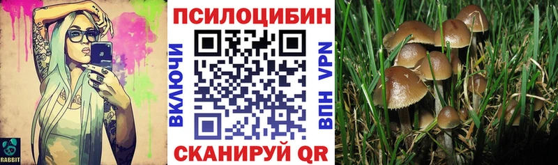 ссылка на мегу tor  Новоалтайск  Галлюциногенные грибы прущие грибы  где можно купить наркотик 