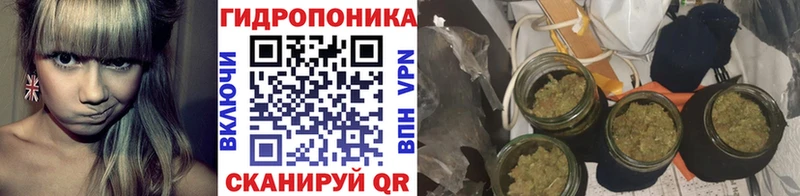 цена   Новоалтайск  Бошки Шишки THC 21% 